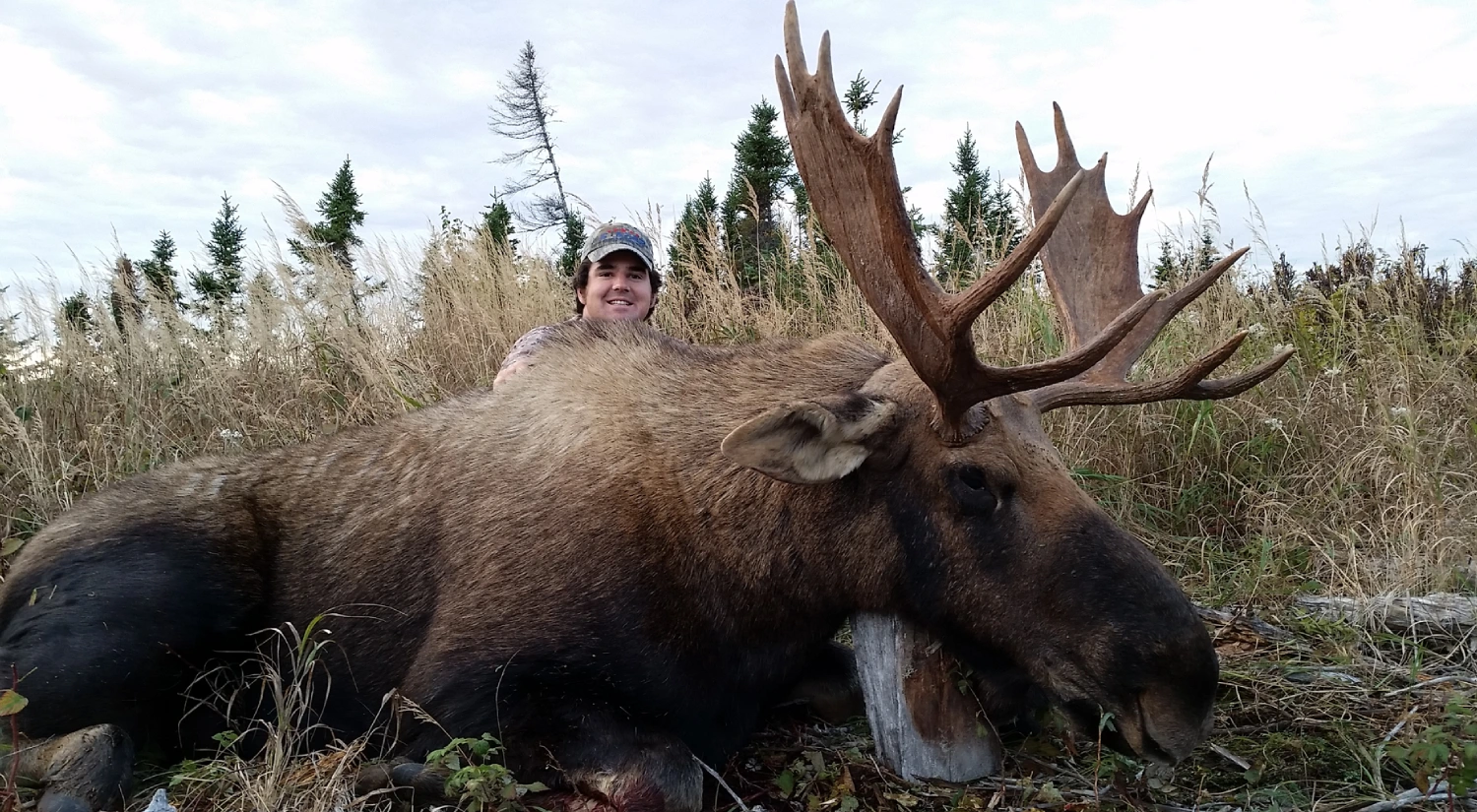 A man posing with a large dead moose