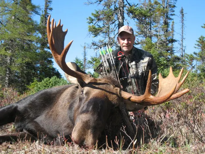 A man posing with a big dead moose