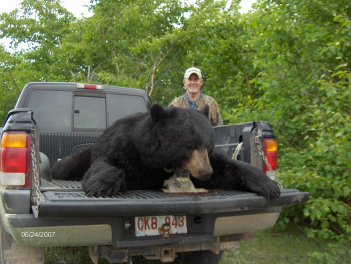 Man posing for a photo with a black bear at the back of his truck