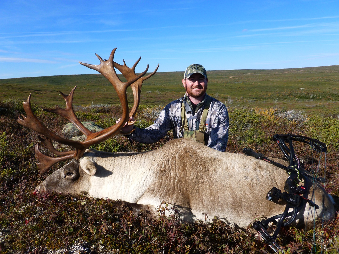 Man with a moose and a compound bow