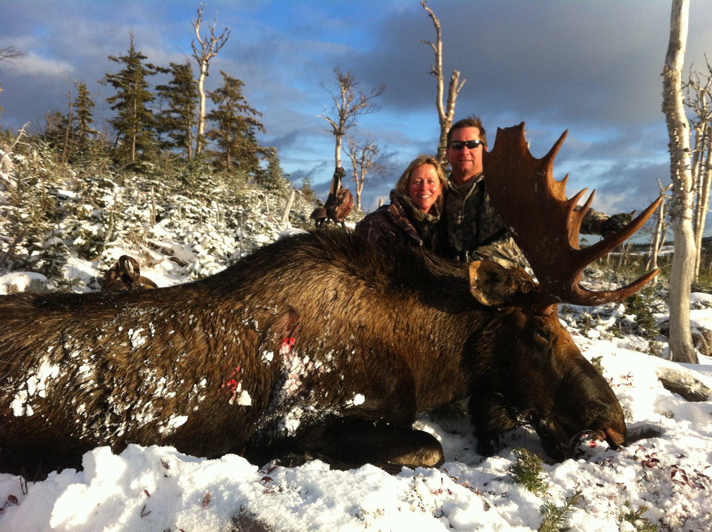 Man and woman with a hunted moose