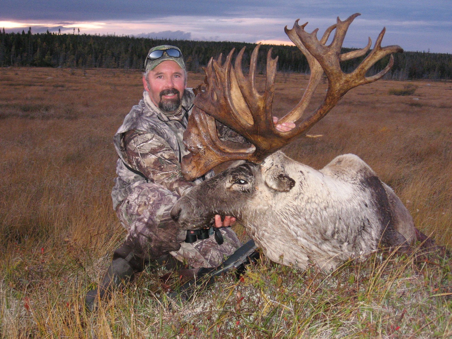 Man wearing camouflage wear with a hunted moose