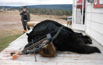 Hunted black bear lying on a porch with a compound bow
