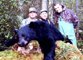 Three men in a forest with their hunted bear