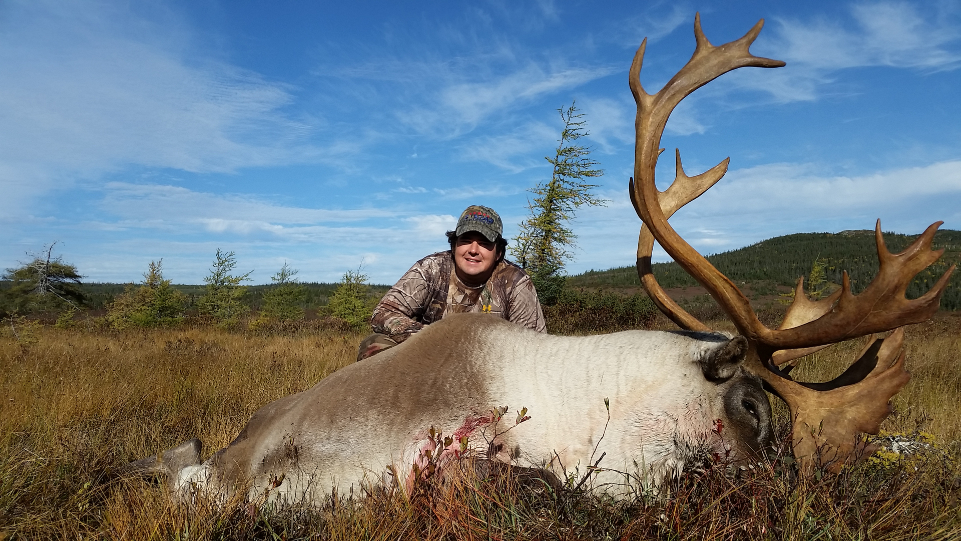 Man in a field with his hunted moose