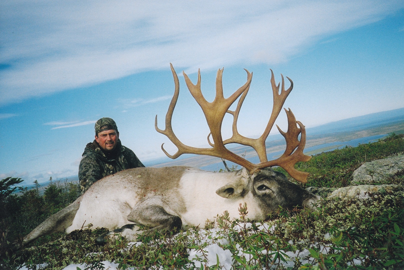 Man in a grassy field with his hunted moose