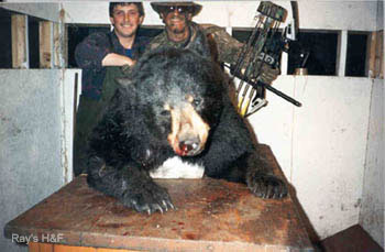 Two men holding a compound bow with a hunted black bear