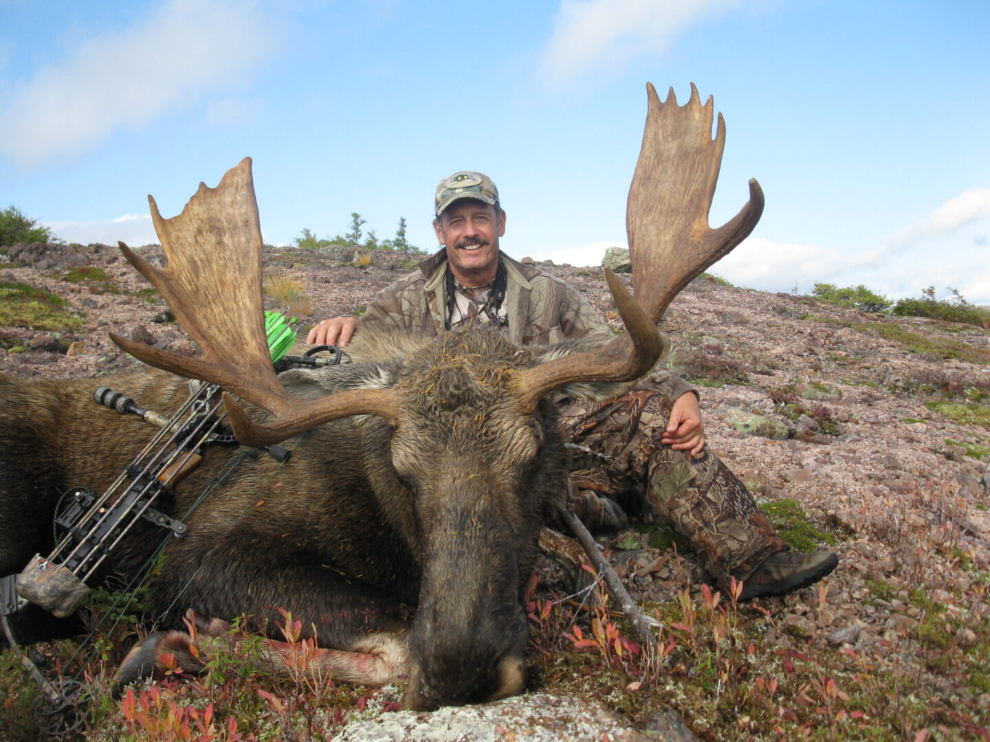A man posing with a dead moose after hunting it