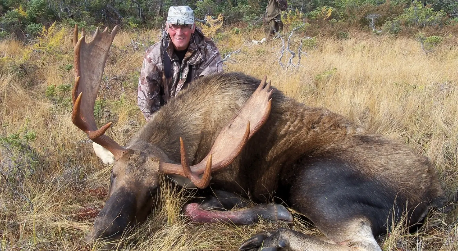 A man posing with a large dead moose